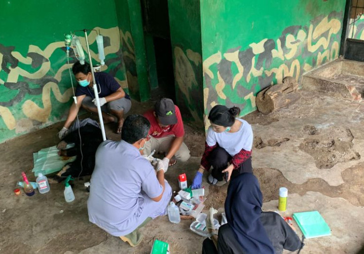 Beruang Madu Diselamatkan Dari Jerat di Jambi Lahirkan Anak, Belum Akan Dilepas Liarkan