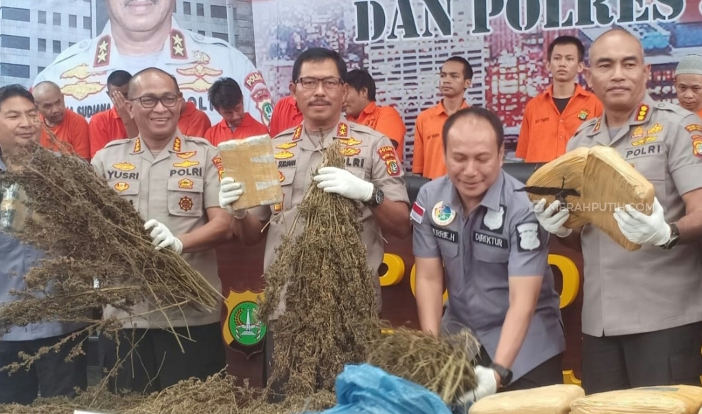 Polda Metro Sebut Ladang Ganja di Mandialing Natal Hasilkan 60 Ton