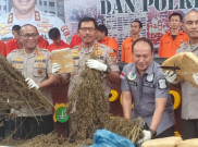 Polda Metro Sebut Ladang Ganja di Mandialing Natal Hasilkan 60 Ton