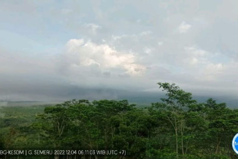 Gunung Semeru Muntahkan Awan Panas Guguran Sejauh 7 Km ke Arah Besuk Kobokan