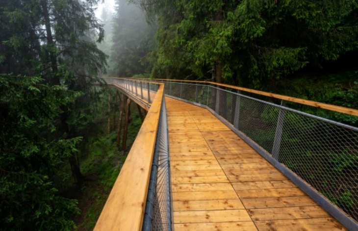 Senda dil Dragun Swiss, Treetop Trail Terpanjang di Dunia