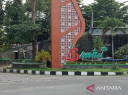 Belum Mau Sweeping Produk, Bantul Ajukan Surat Keberatan Merek Anggur Hijau Parangtritis