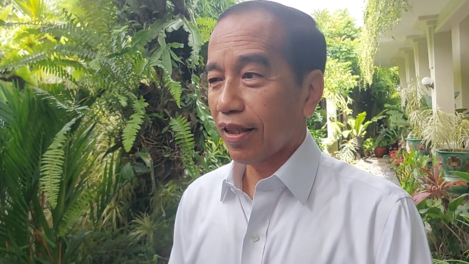 Jokowi Ucapkan Selamat Ulang Tahun ke-52 untuk PDIP