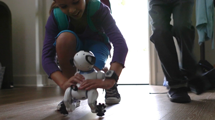 Buat Penghuni Apartemen, WowWee CHiP Bisa Jadi Alternatif Binatang Peliharaan