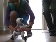 Buat Penghuni Apartemen, WowWee CHiP Bisa Jadi Alternatif Binatang Peliharaan