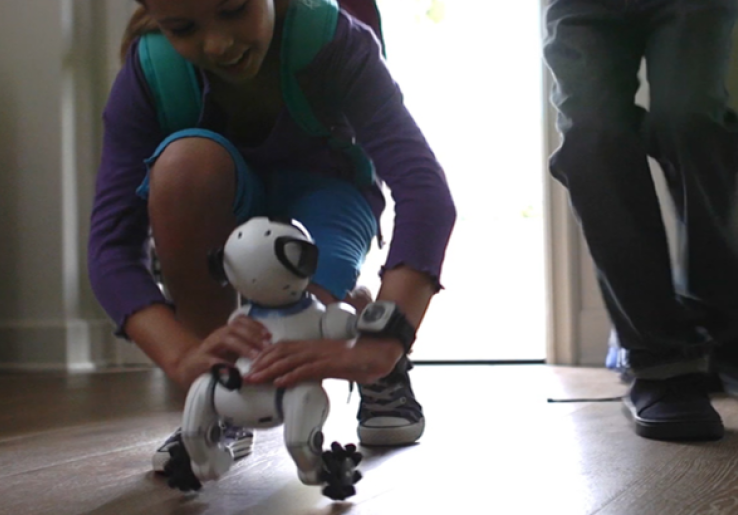 Buat Penghuni Apartemen, WowWee CHiP Bisa Jadi Alternatif Binatang Peliharaan