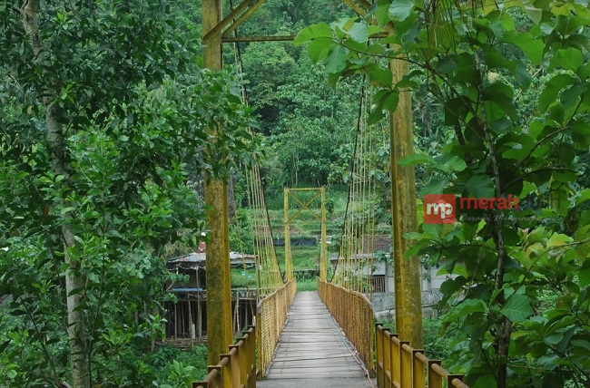 Jembatan Gantung Selapamiro