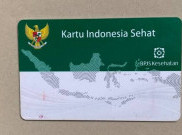 Wacana Platform INAku, Janjikan Anak Baru Lahir Langsung Jadi Anggota Aktif BPJS Kesehatan