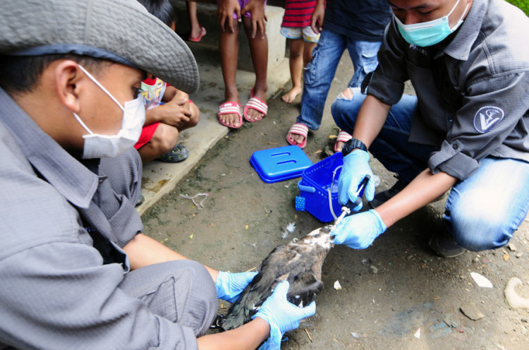 Dua Warga Cirebon Suspect H5N1 Dirawat di Ruang Isolasi