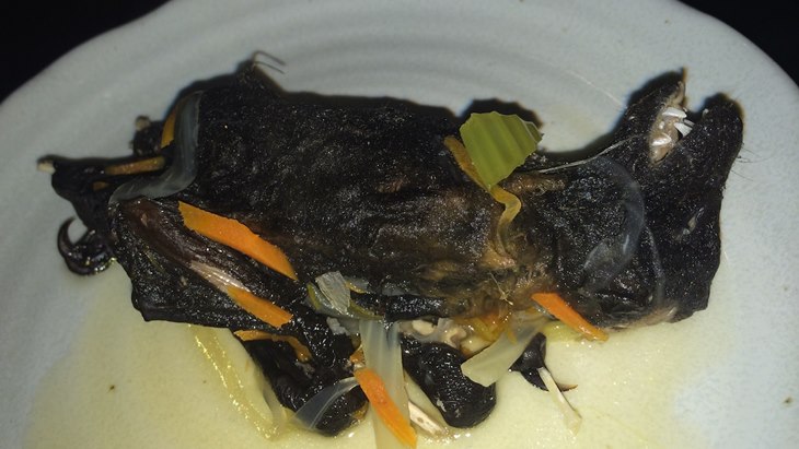 kelelawar