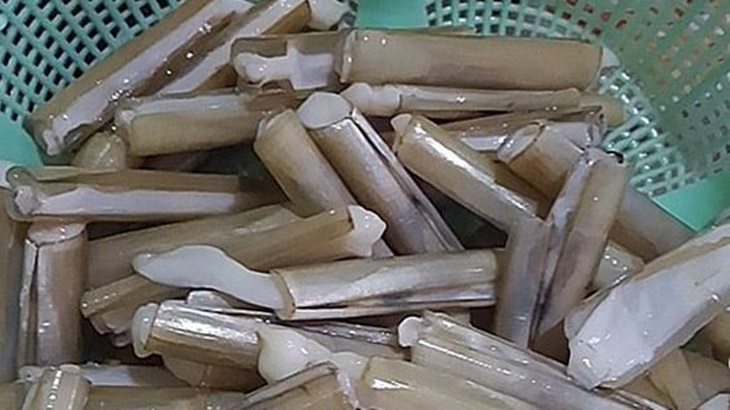 Lezatnya Lorjuk, Kerang Khas Madura yang Bikin Dian Sastro Ketagihan