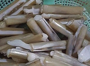 Lezatnya Lorjuk, Kerang Khas Madura yang Bikin Dian Sastro Ketagihan