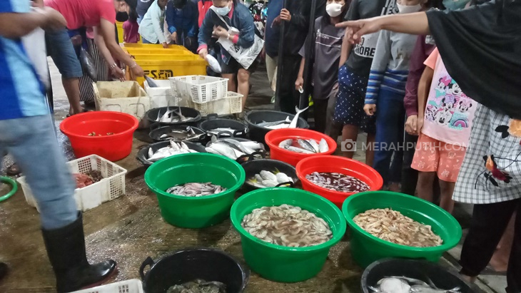 Pasar Ikan Balekambang Surganya Pecinta Ikan Laut Di Solo Merahputih