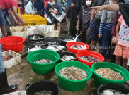 Pasar Ikan Balekambang, Surganya Pecinta Ikan Laut di Solo