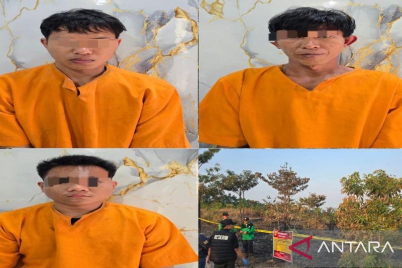Modal 2 Korek Gas, 3 Orang Bakar Lahan PT Musi Hutan Persada di OKU Timur Sumsel