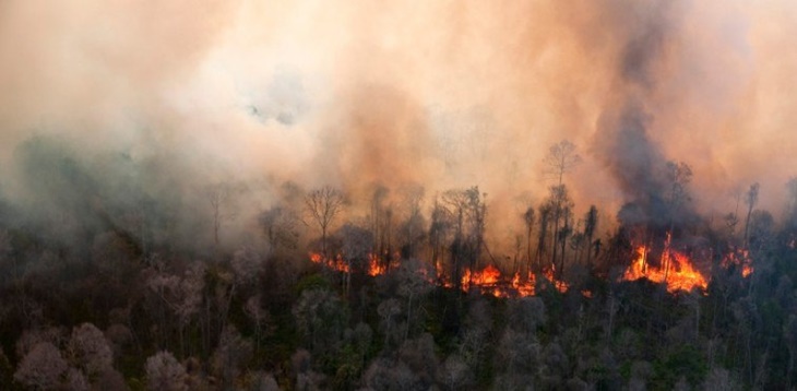 Kabut Asap Melanda, Begini Cara Melindungi Kesehatan dari Polusi Udara
