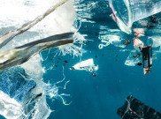 Program Sosial Lingkungan untuk Atasi Masalah Sampah Laut