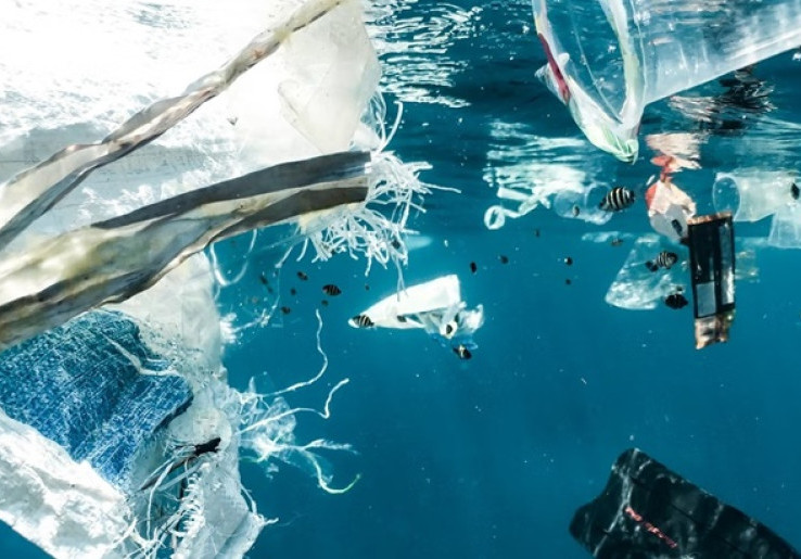 Program Sosial Lingkungan untuk Atasi Masalah Sampah Laut