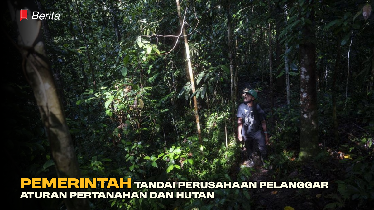 Pemerintah Tandai Perusahaan Pelanggar Aturan Pertanahan dan Hutan