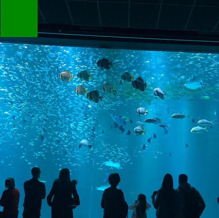 Nausicaä Centre National de la Mer. (Foto: instagram.com/sissa.angel24)