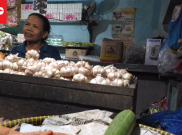 Kembangkan Bawang Putih, Indonesia Jalin Kerja Sama dengan Australia
