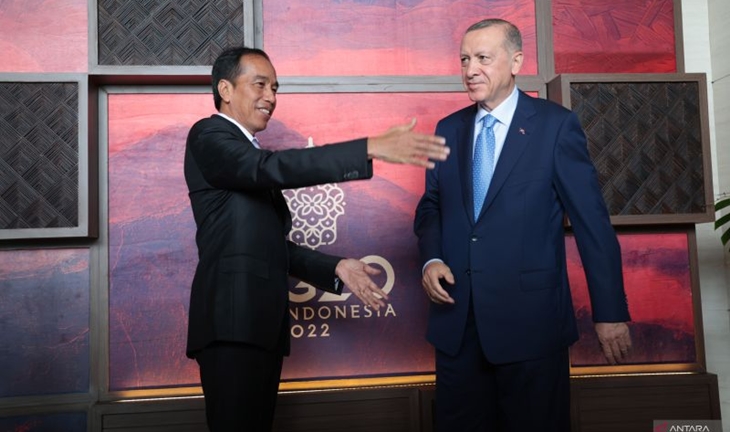 Isi Pembicaraan Jokowi dengan Presiden Turki Erdogan