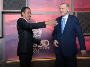 Isi Pembicaraan Jokowi dengan Presiden Turki Erdogan