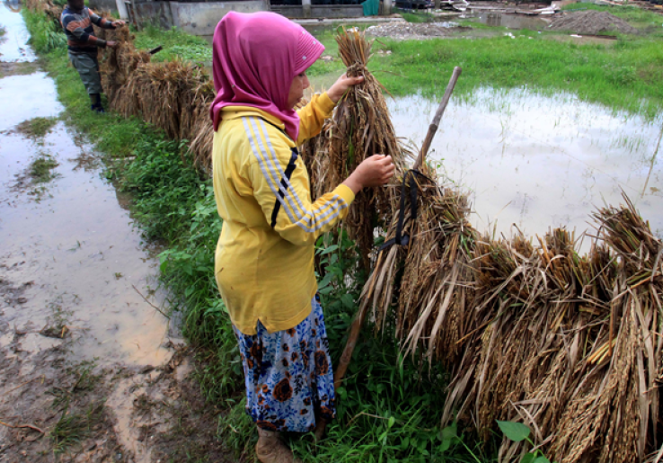 Reforma Agraria Pemerintahan Jokowi On The Track