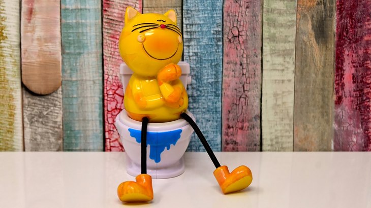 Bila Anak-Anak Siap Menggunakan Toilet