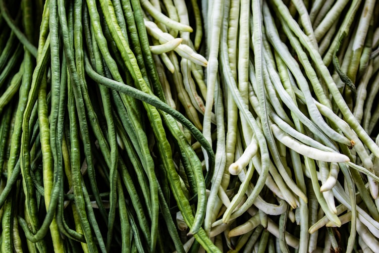 Beberapa Fakta Menarik Tanaman Herbal, Dari Pengobatan Hingga Bahan Masakan!