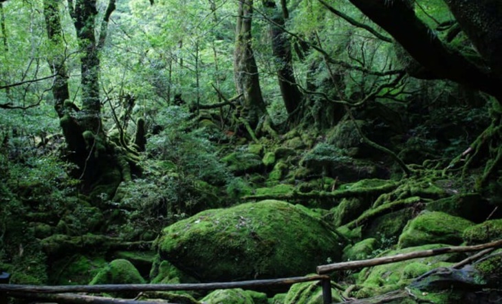 Intip 7 Lokasi Asli Inspirasi Film-Film Animasi Studio Ghibli di Jepang