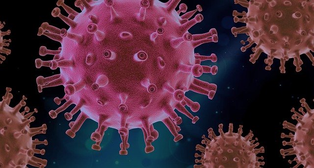 Belum ada pembuktian disinfektan bisa mengatasi COVID-19 (Foto: Pixabay/PIRO4D)