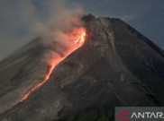 Masyarakat Diminta Waspada Gunung Merapi Luncurkan 11 Kali Guguran Lava Pijar