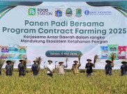 Pemprov DKI Kerja Sama dengan Karawang Terkait Ketahanan Pangan