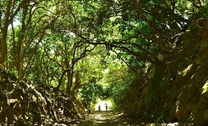 Intip 7 Lokasi Asli Inspirasi Film-Film Animasi Studio Ghibli di Jepang