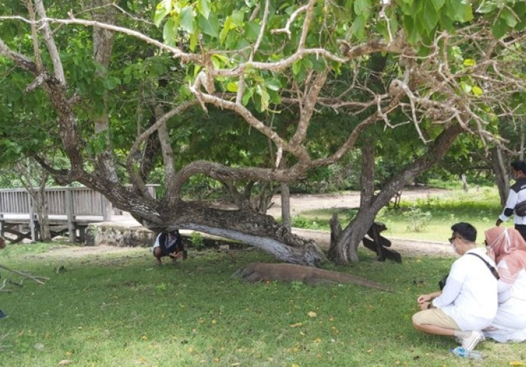 Sandiaga Uno Umumkan Batalnya Kenaikan Harga Tiket Masuk Pulau Komodo