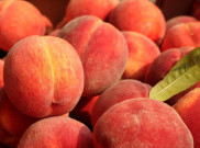 10 Manfaat Buah Peach Bagi Kesehatan, Bisa Jaga Kesehatan Kulit