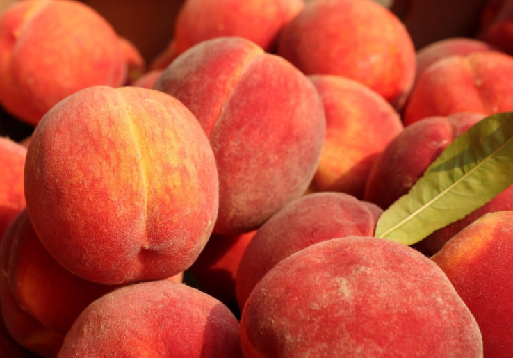 10 Manfaat Buah Peach Bagi Kesehatan, Bisa Jaga Kesehatan Kulit