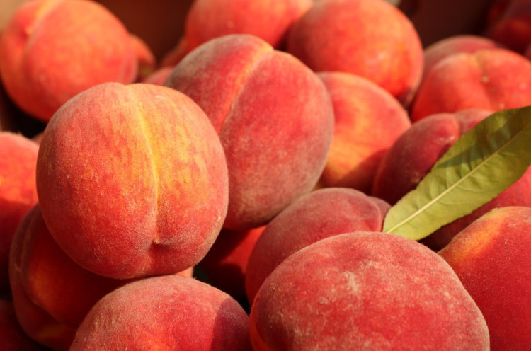 10 Manfaat Buah Peach Bagi Kesehatan Bisa Jaga Kesehatan Kulit