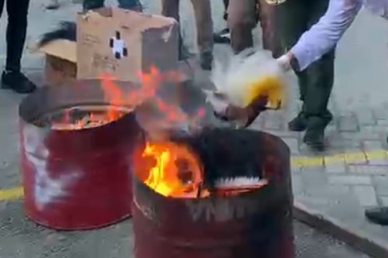 Kemenhut Minta Maaf Lukai Hati Rakyat Papua, Akui Salah Bakar Mahkota Cenderawasih