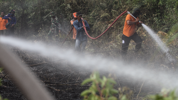 Greenpeace Temukan Banyak Titik Api  di Dekat Perusahaan Kehutanan