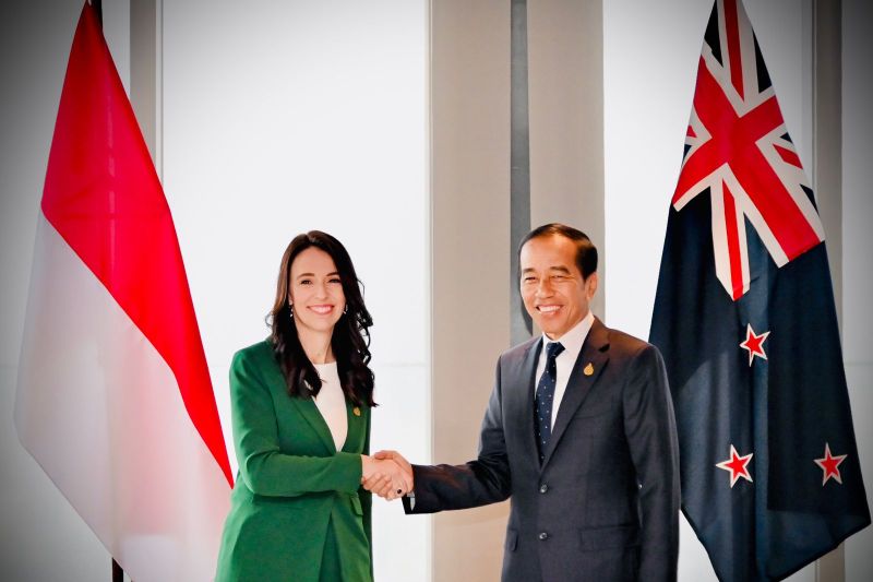 Jokowi Undang Investor Selandia Baru Garap Energi Panas Bumi di Indonesia