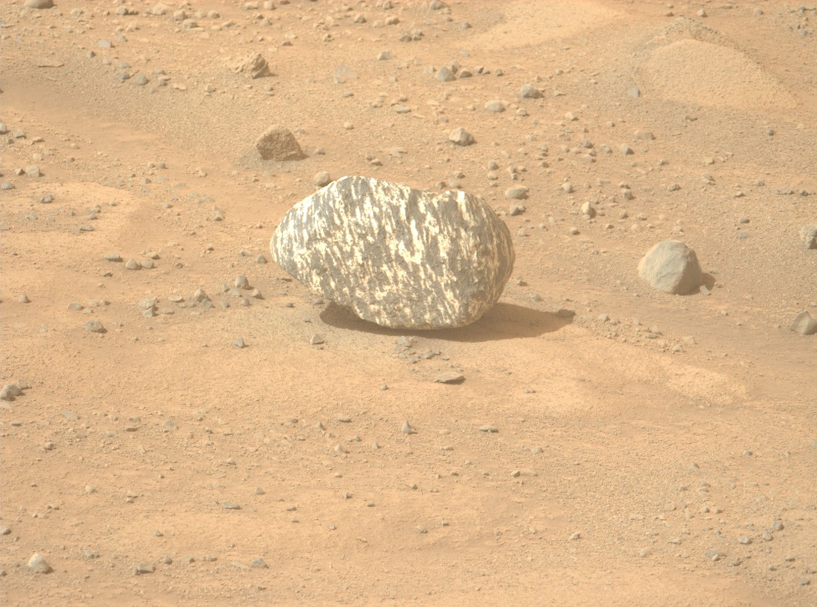 NASA Temukan Batu Zebra di Mars, Tanda Adanya Kehidupan Alien?