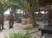 Tragedi Kematian Anjing Canon Tampar Wisata Halal ala Indonesia