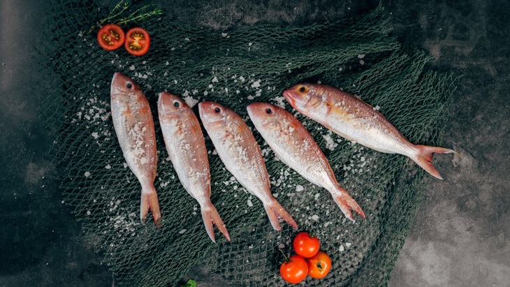 Ikan Segar Berkualitas Kini Tersedia di Platform