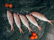 Ikan Segar Berkualitas Kini Tersedia di Platform
