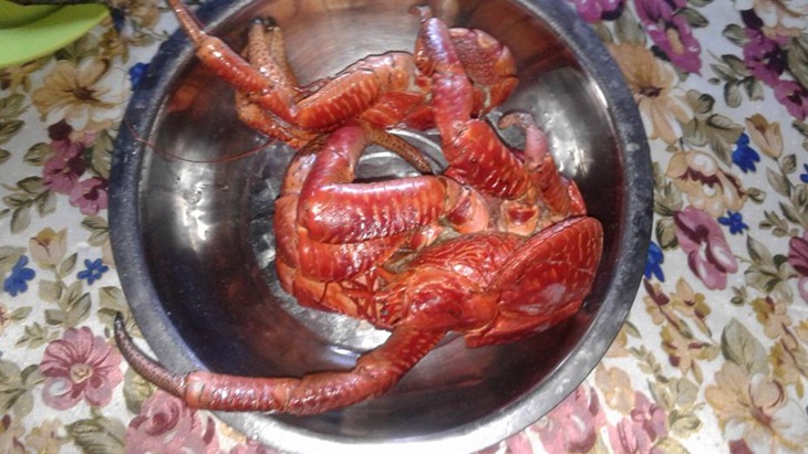 Kepiting kenari sudah diolah. (Foto: facebook.com/airud.faisal)