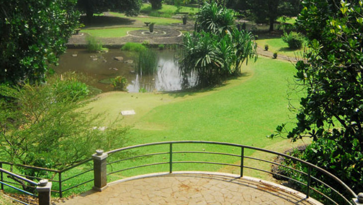 Taman akuatik Kebun Raya Bogor. Foto: KRBOGOR LIPI