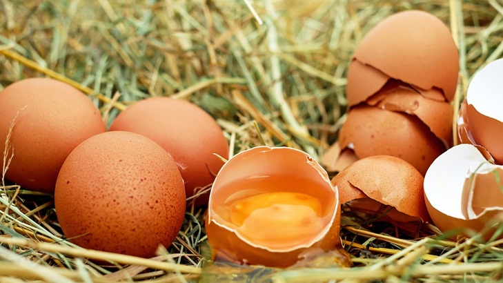 Suka Telur? Perhatikanlah Jumlah yang Kamu Konsumsi dalam Seminggu