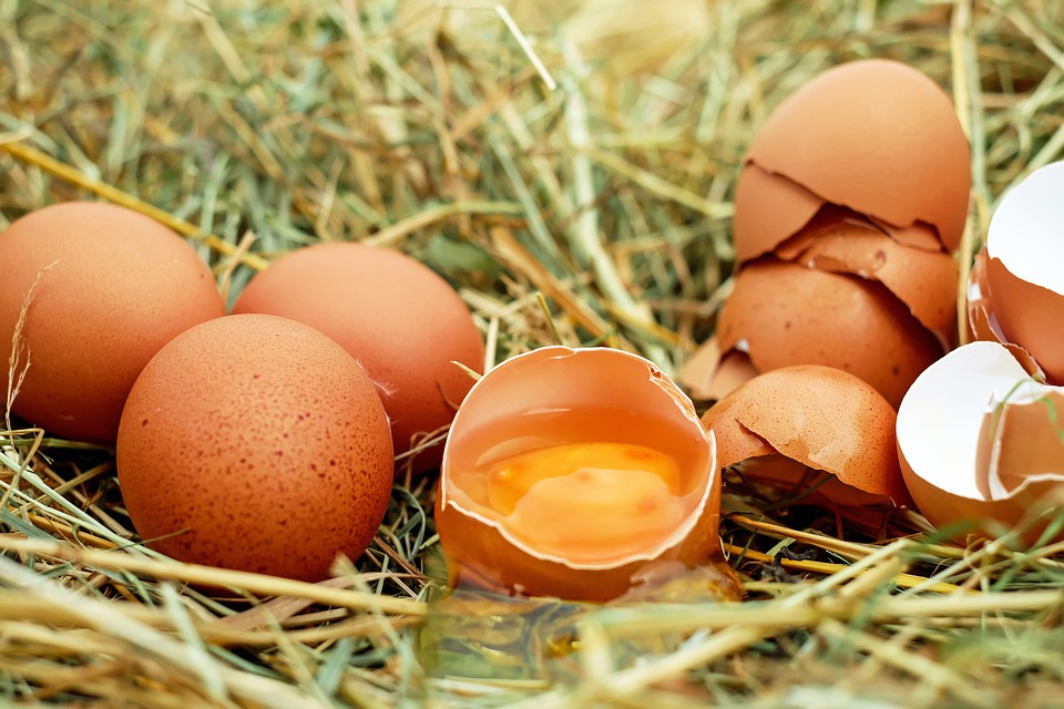 Telur juga bisa dijadikan bahan sampo (Sumber: Pixabay/Couleur)